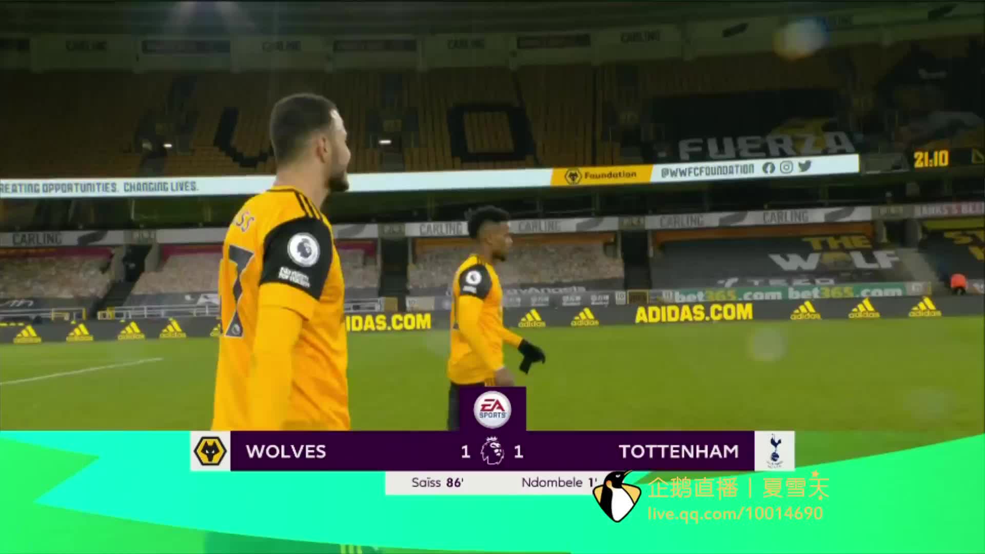 楚地看到 楚地看到